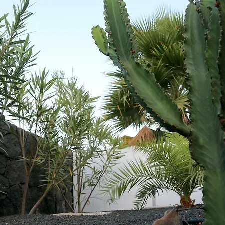 Ancla * Costa Teguise
